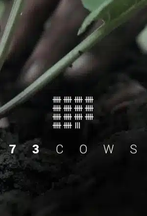 73 Cows animal welfare documentary
