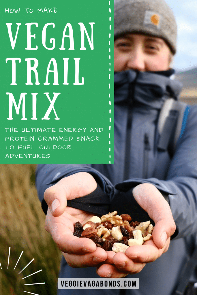 Vegan trail mix pin