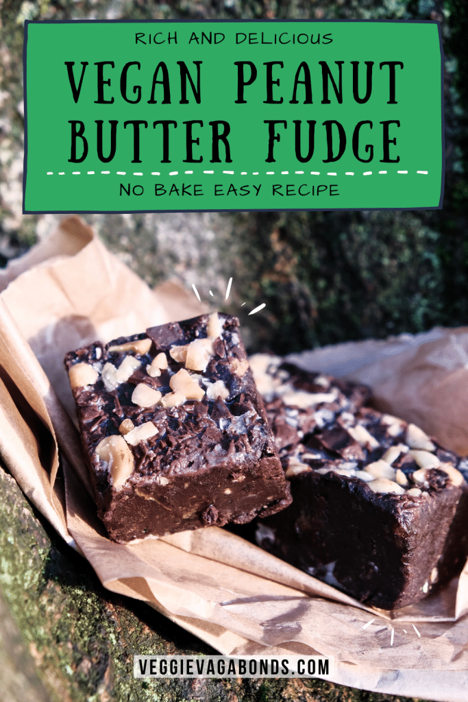 Vegan Peanut Butter Fudge Pin