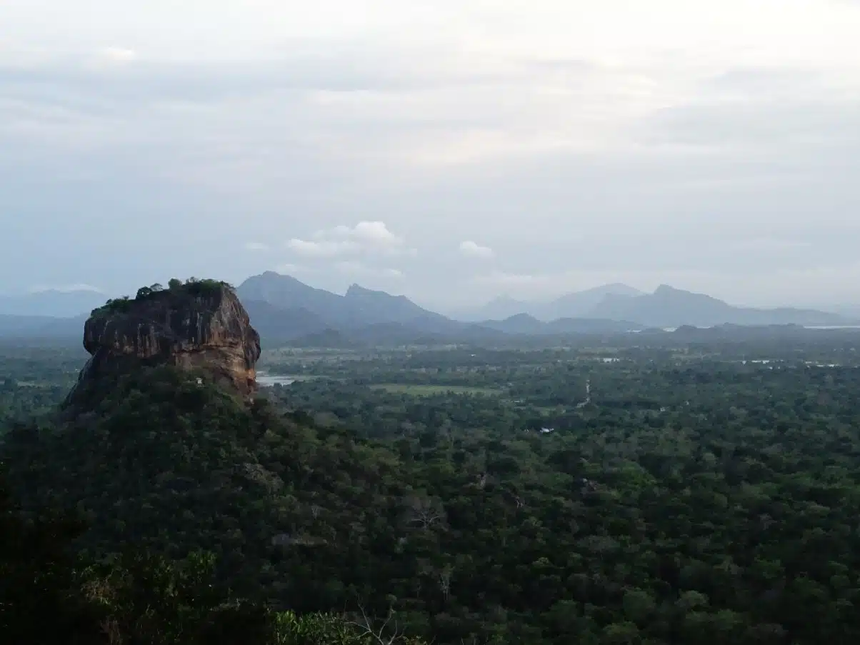 Vegan in Sri Lanka - An Ethical Eaters Guide