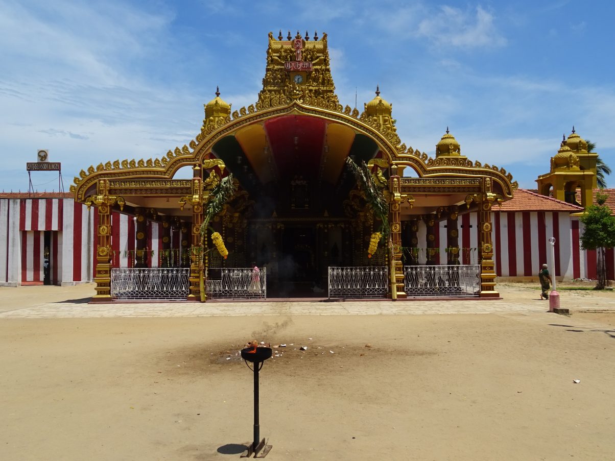 Vegan in Sri Lanka - An Ethical Eaters Guide