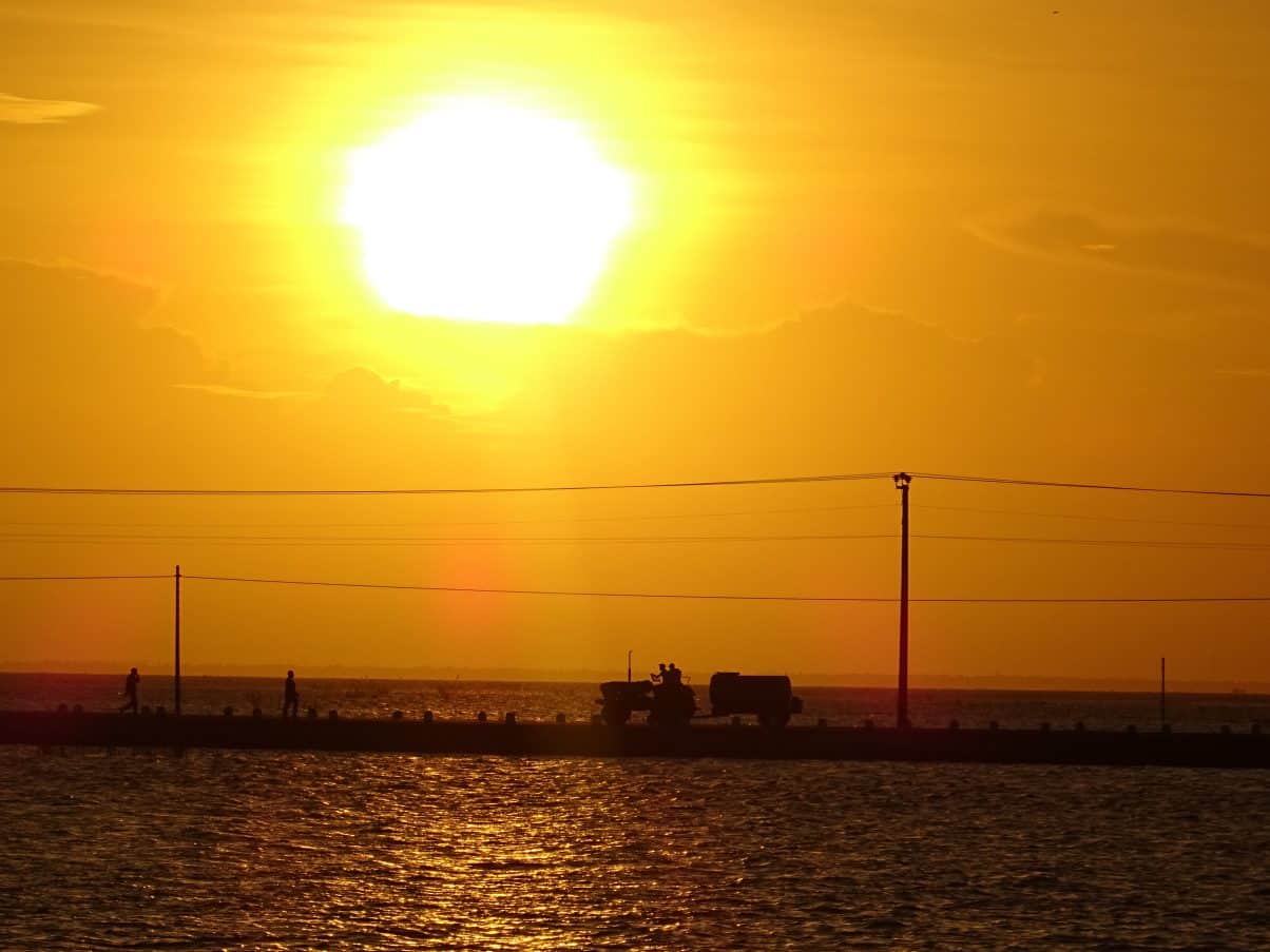 Vegan in Sri Lanka - An Ethical Eaters Guide