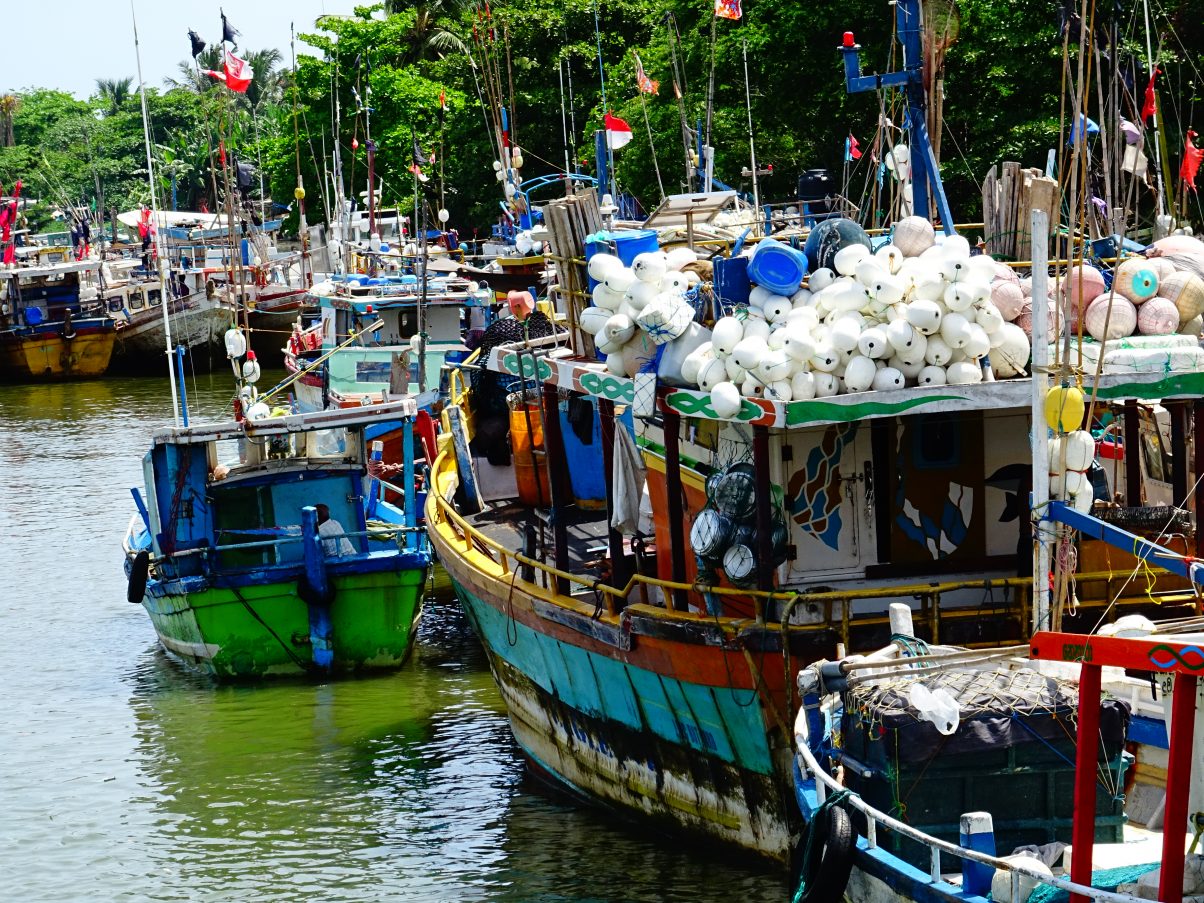 Vegan in Sri Lanka - An Ethical Eaters Guide