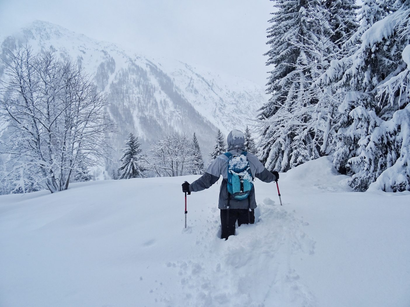 Snowshoeing in Vallorcine 