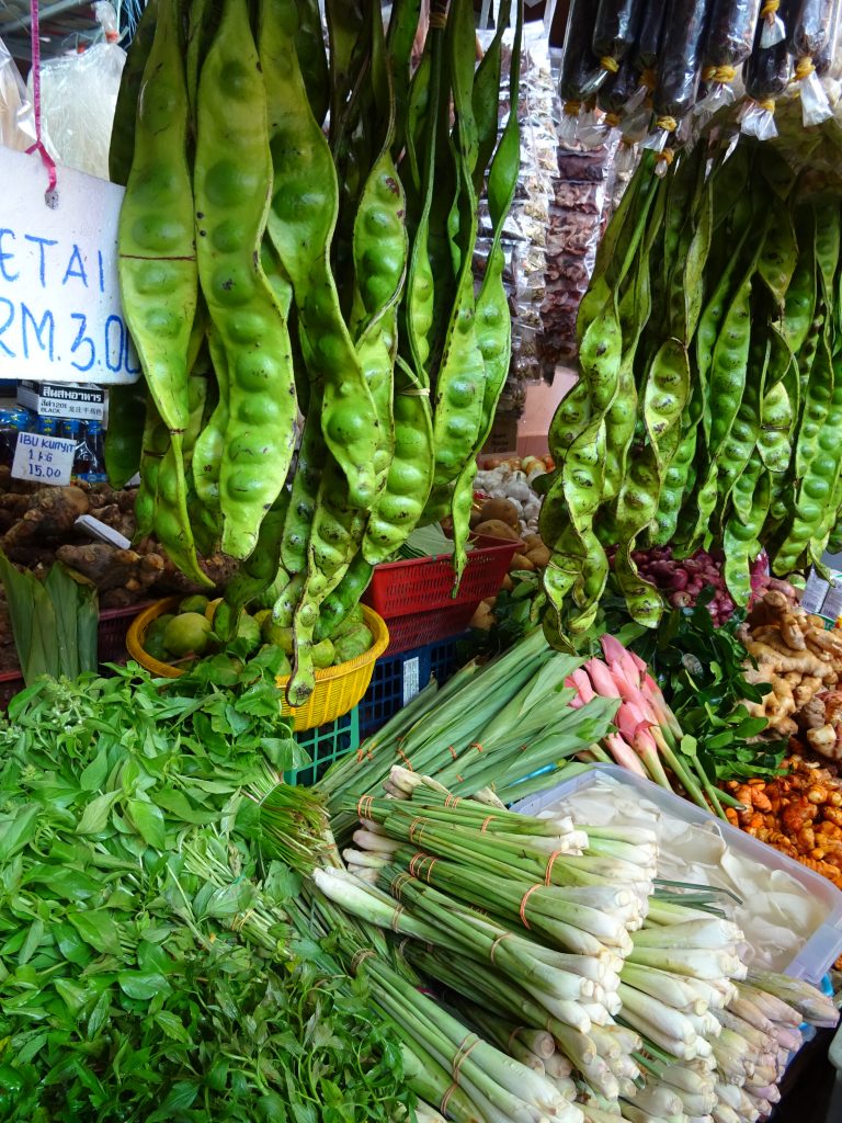 Vegan in Malaysia - an Ethical Eater's Guide