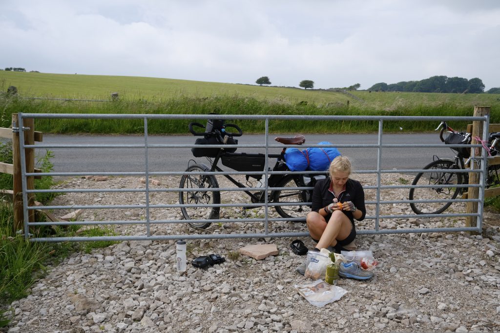 plant based travel food