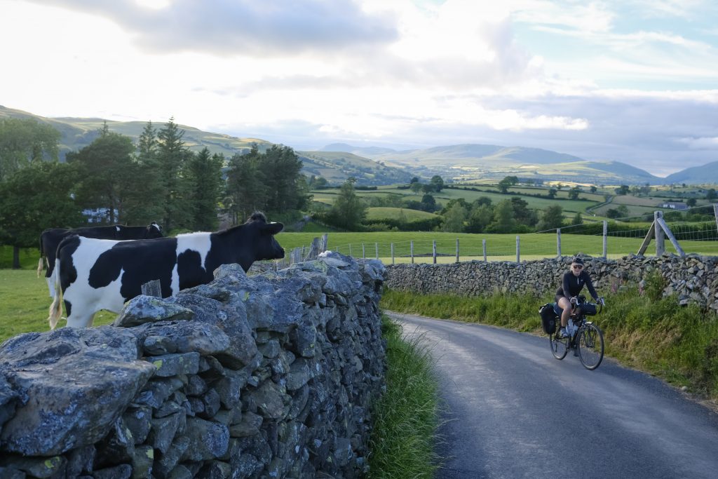 Plant based diet for cyclists