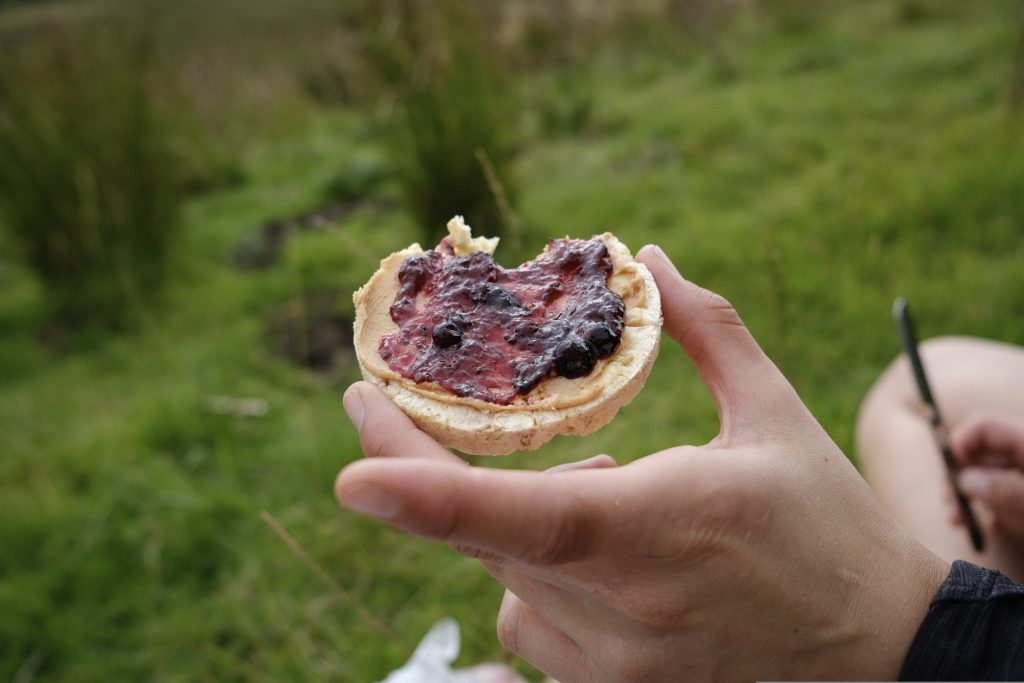 Vegan biketouring snacks