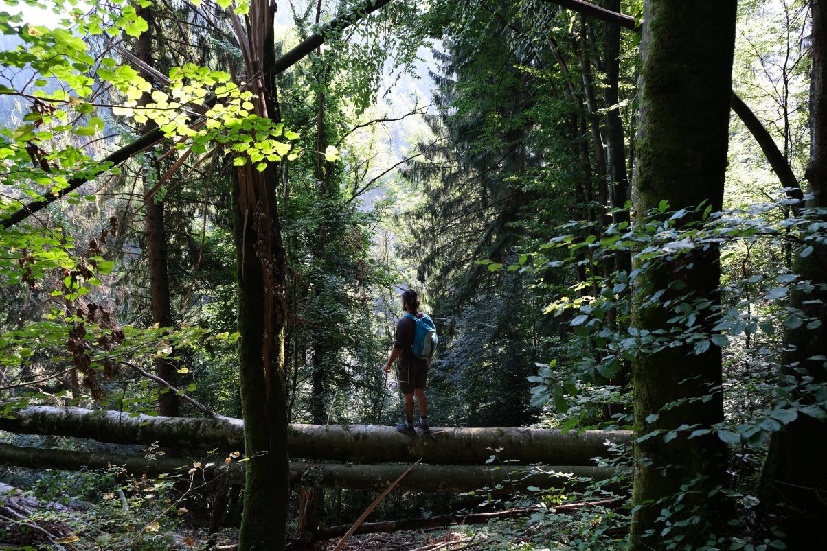 Man hiking in the woods
