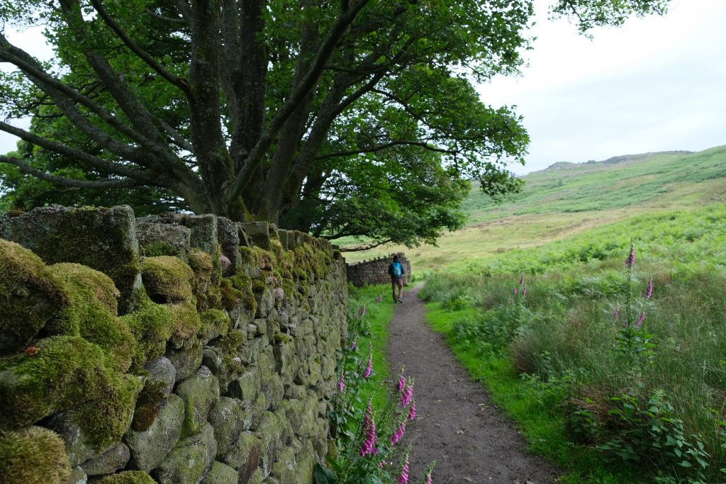 Hiking in the Yorkshire Dales