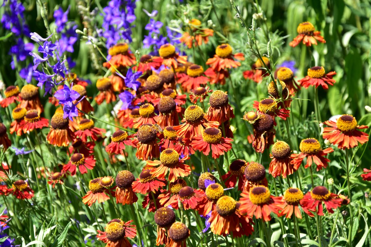 How YOU Can make flying more sustainable