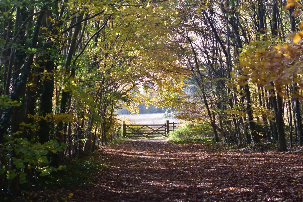 A whole bunch of free things to do in Cambridge