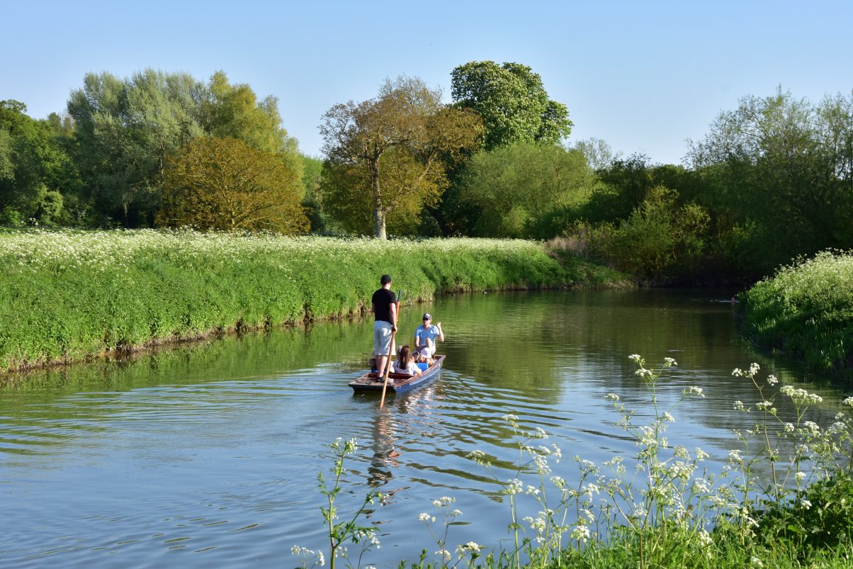 A Whole Bunch of Free Things to Do in Cambridge