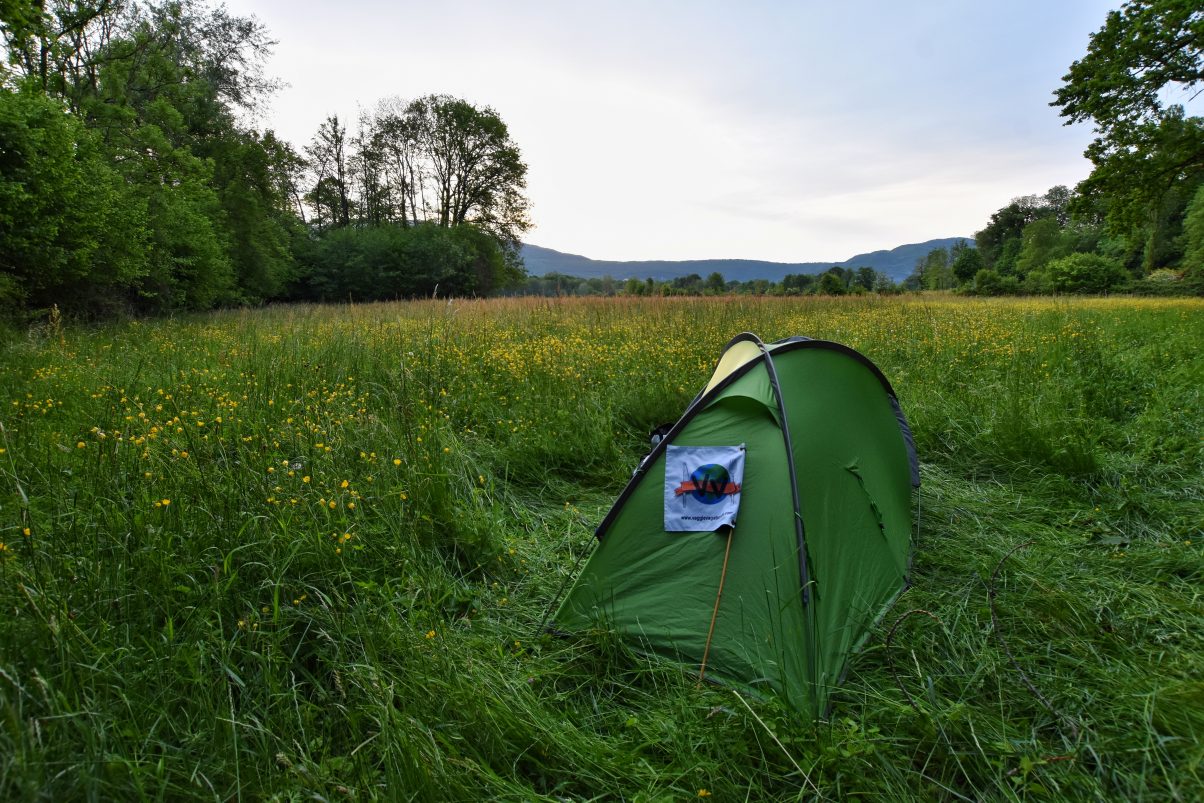 Tent in green field camping