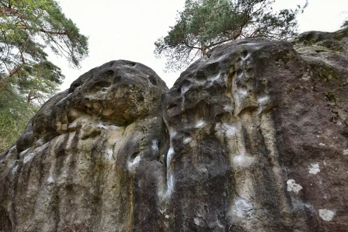 Bouldering at Bas Cuvier, Fontainebleau