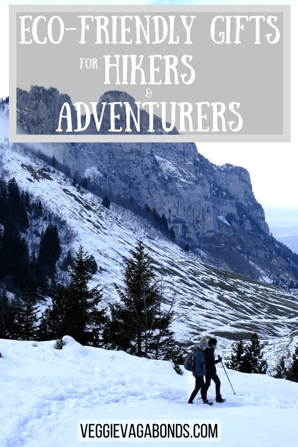 Eco friendly gifts pin