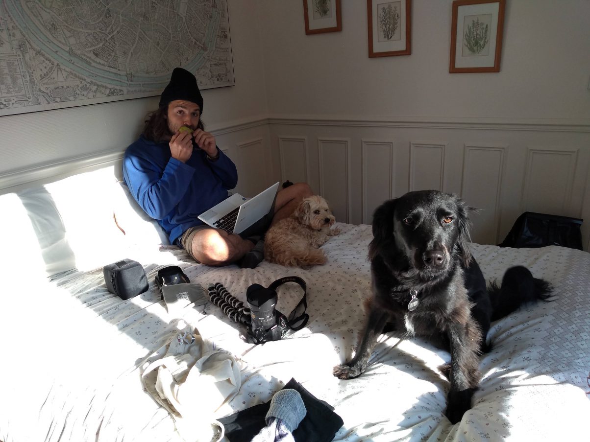 Fericy Friends & Fontainebleau Fun