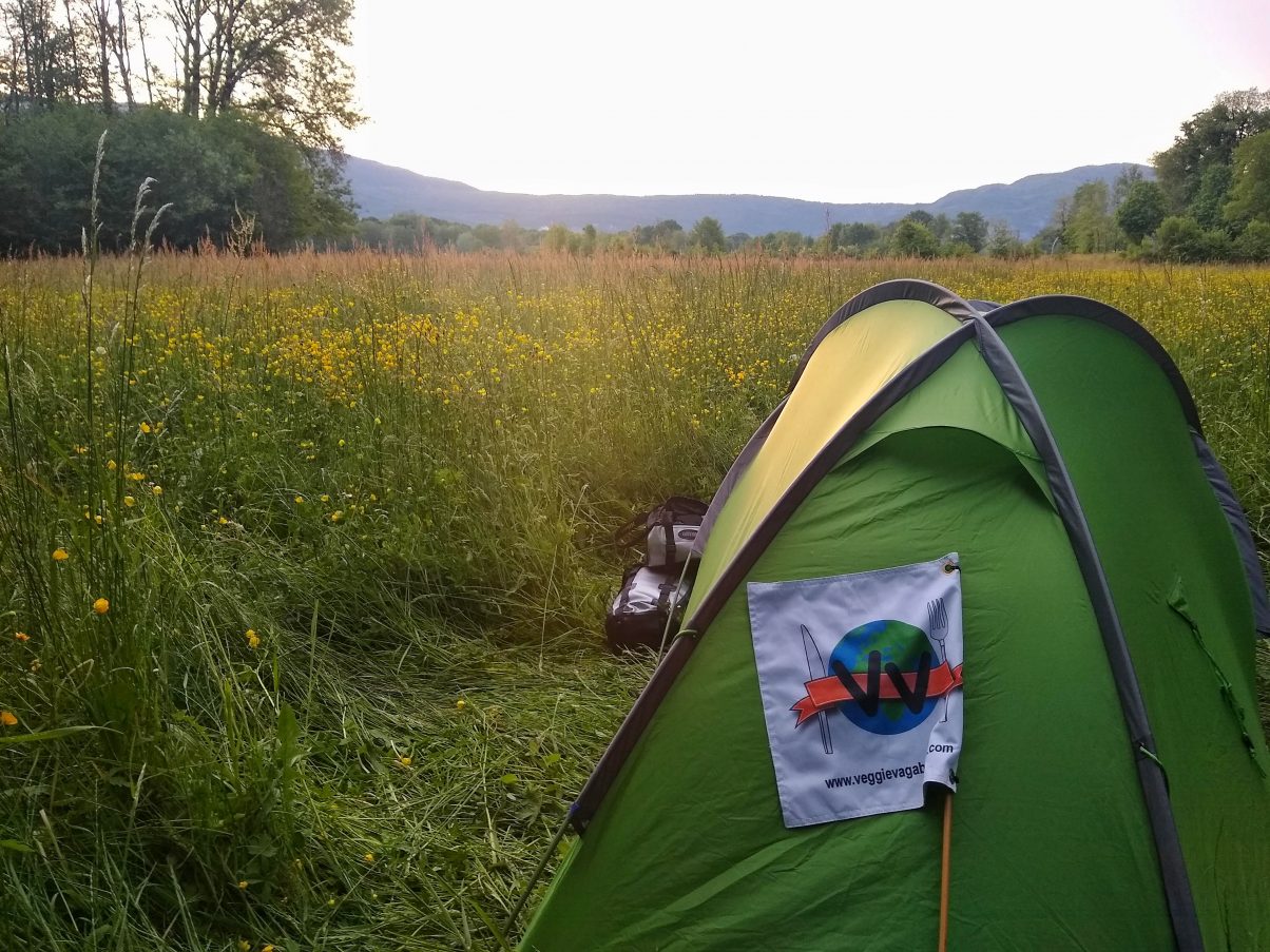 Camping in flower field