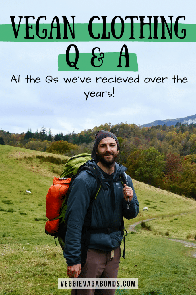 Is wool vegan? Vegan questions answered pin