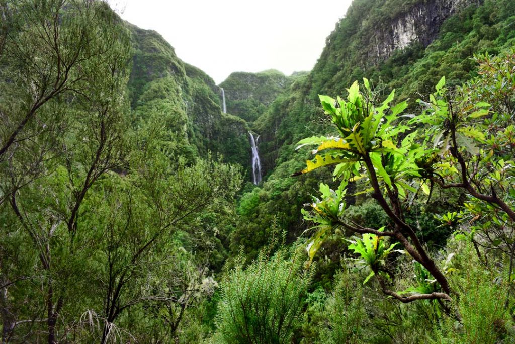 Levada das 25 Fontes Waterfalls, Madeira