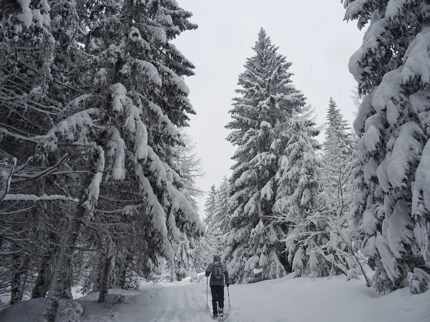 Man walking through snowy woods