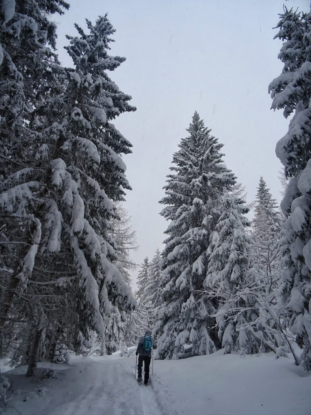 Man snowshoeing