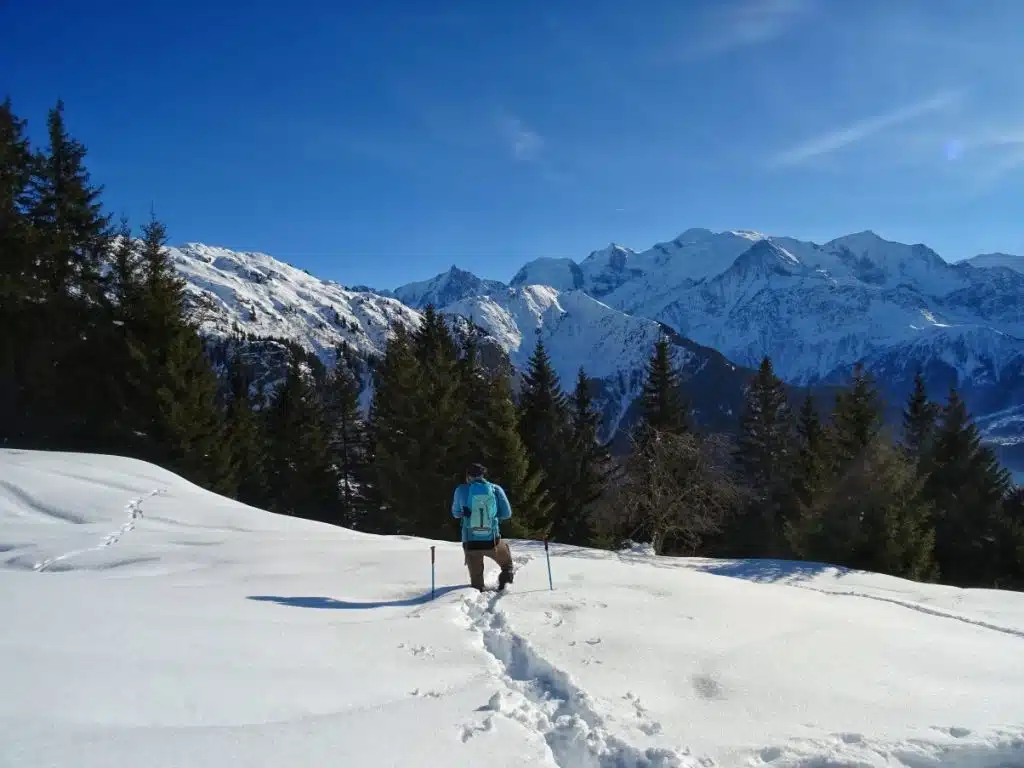 Snowshoeing in Chamonix