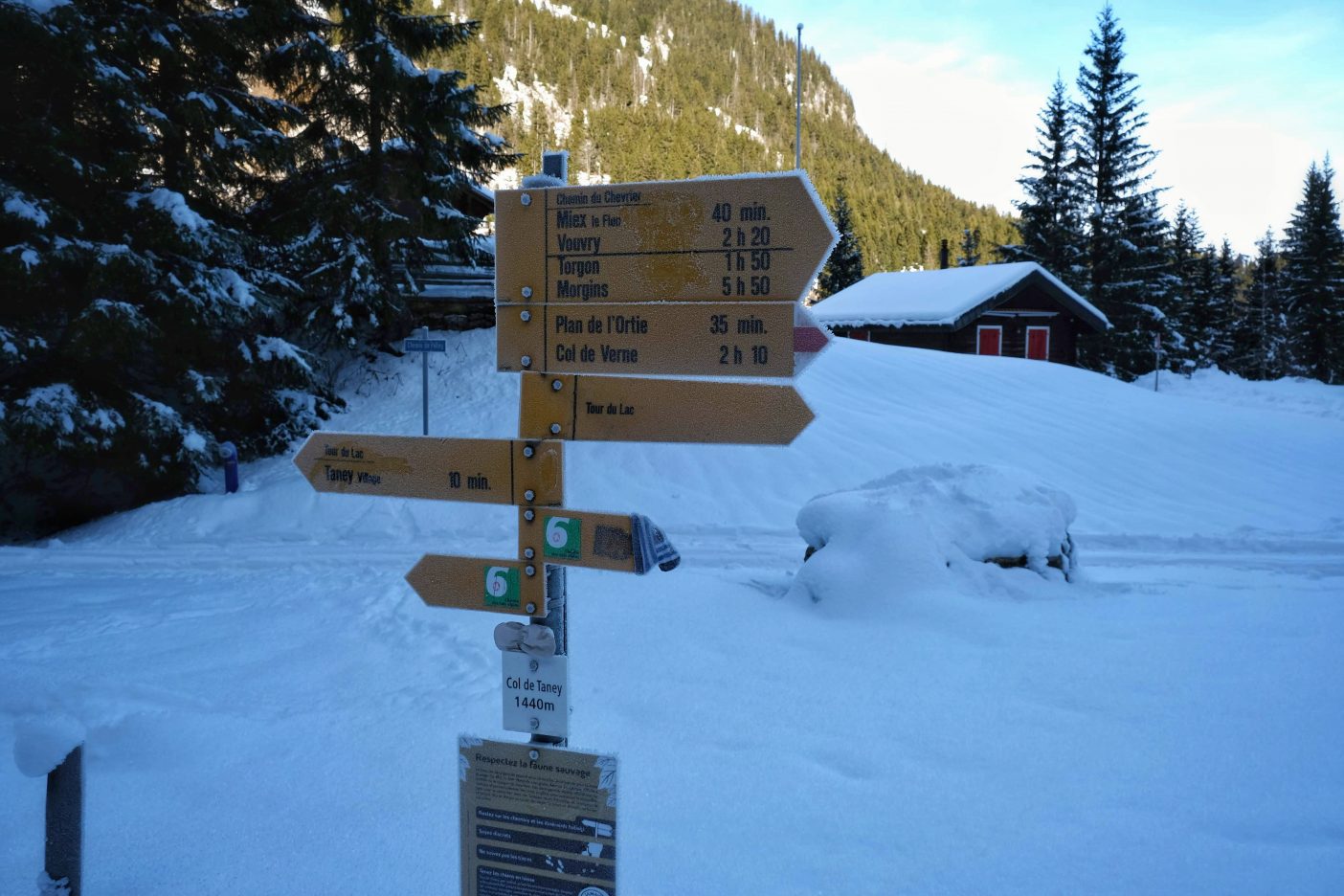 Frozen sign post at Lac de Tannay 