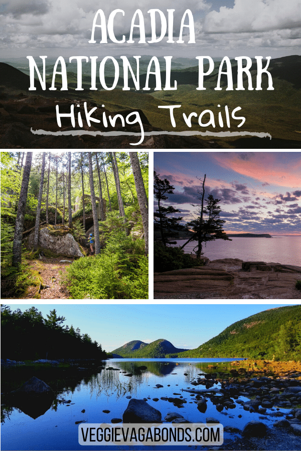 Swiss National Park Hiking Trails Pin