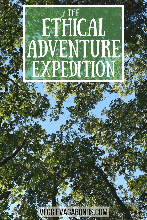 Ethical adventure expedition pin