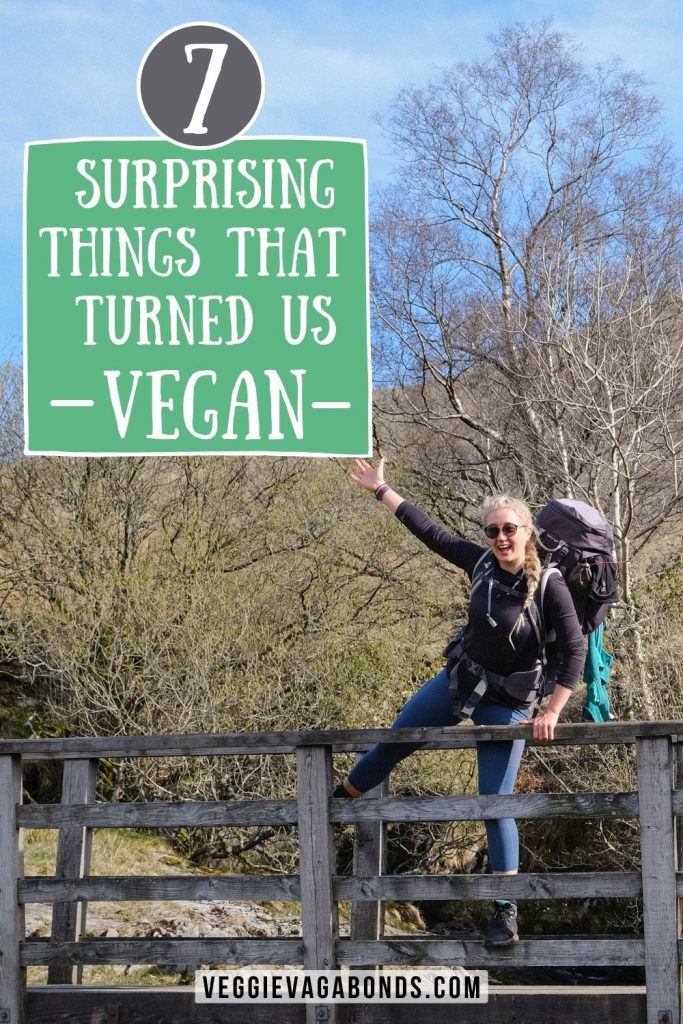 Things which turned us vegan pin