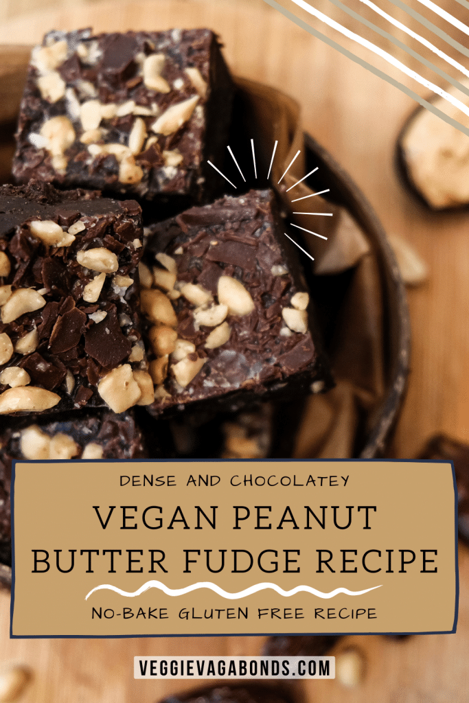 Vegan peanut butter fudge pin