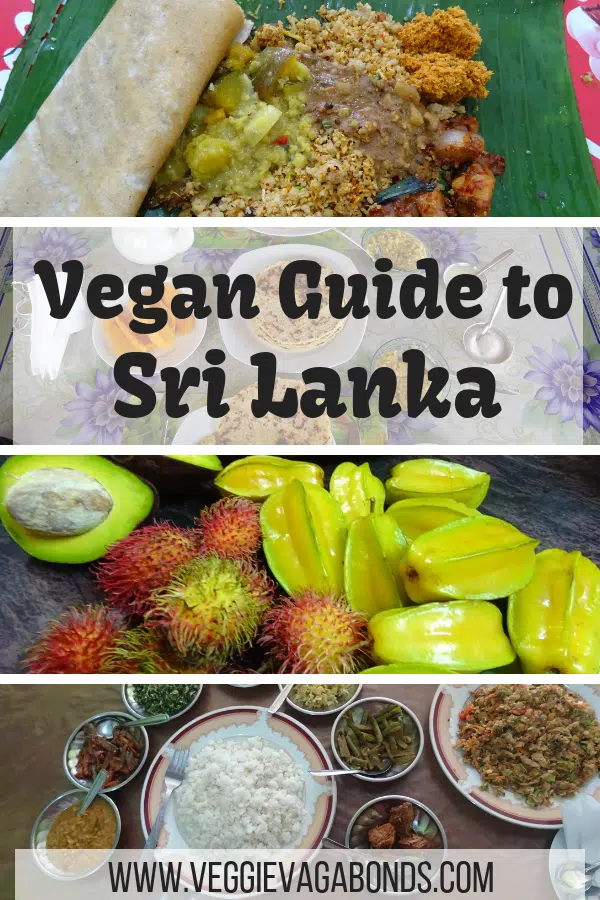 Vegan in Sri Lanka - An Ethical Eaters Guide