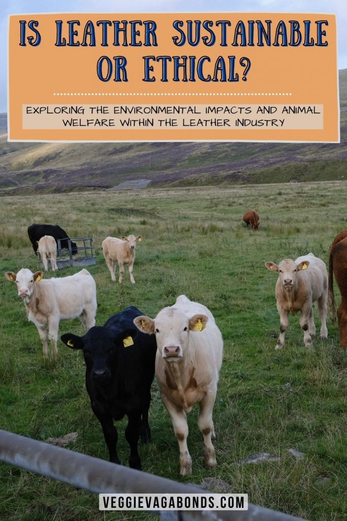 Is Leather Sustainable