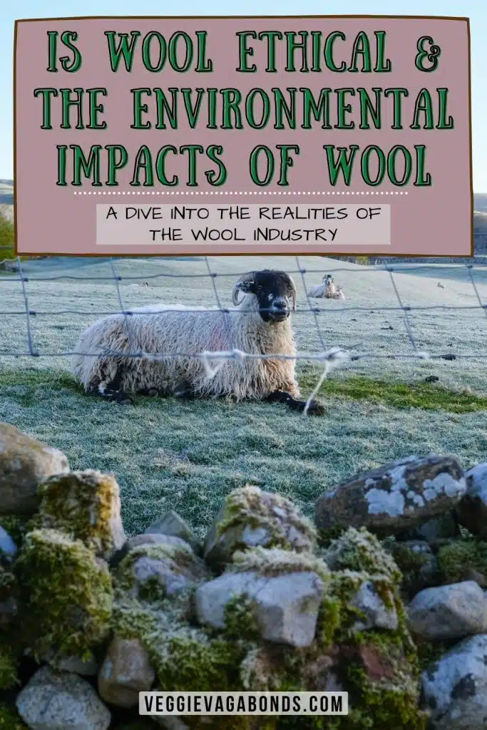 Is Wool Ethical & Wool Environmental Impacts