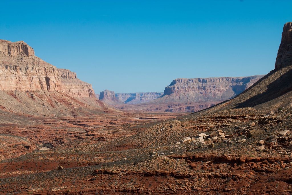 The Grand Canyon