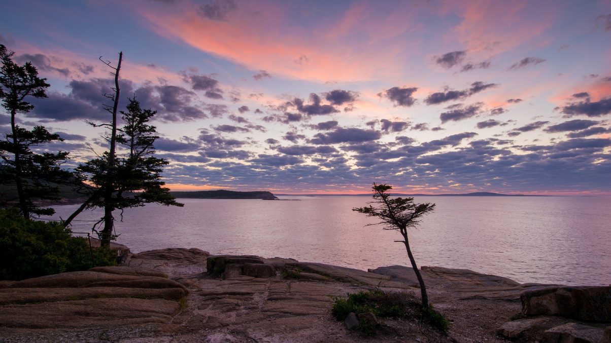 Sunrise on an Acadia National Park hiking trail