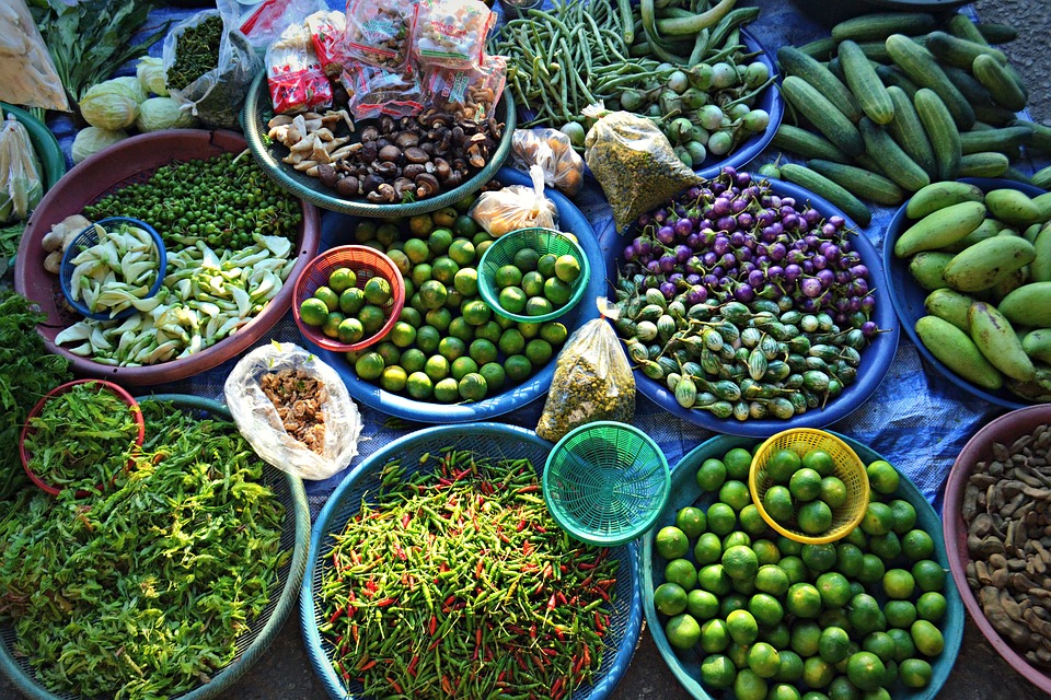 Why we started a vegan travel blog