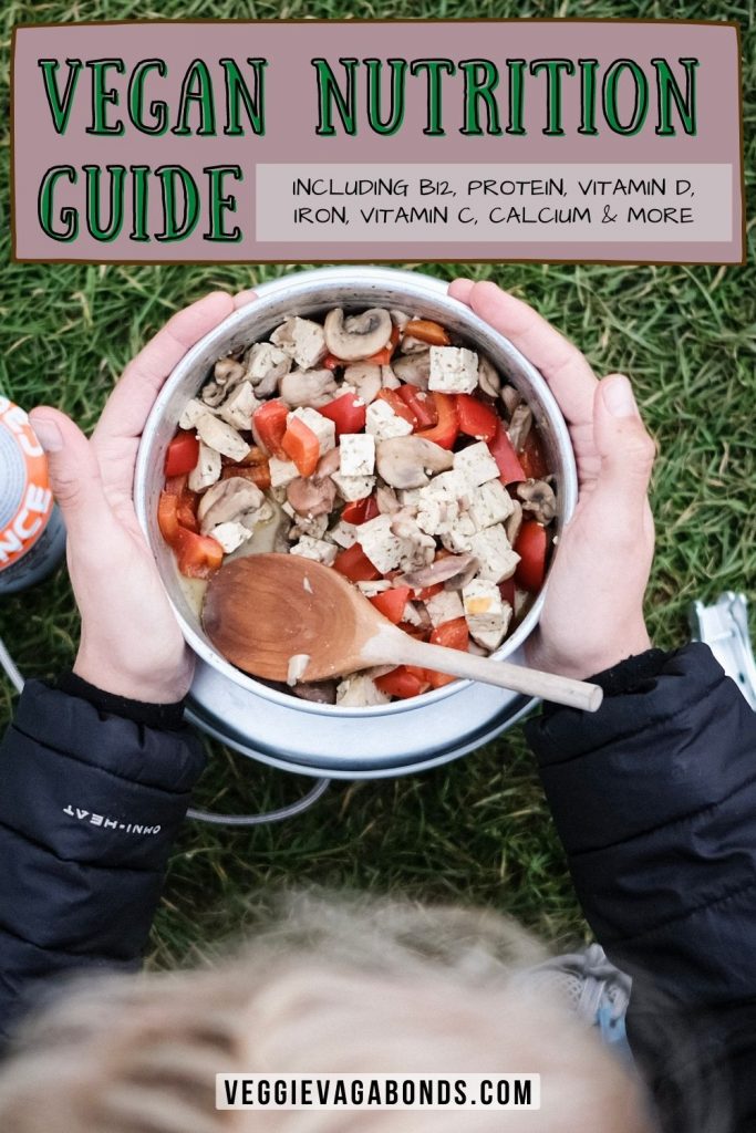 Vegan Nutrition Guide pin