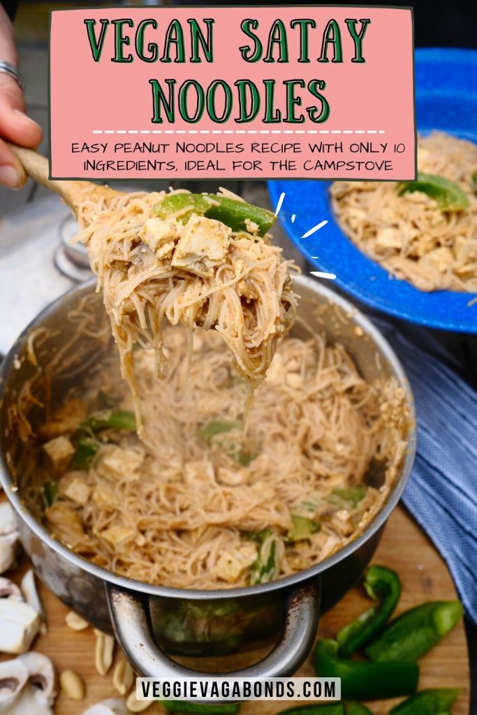 Vegan Satay Noodles